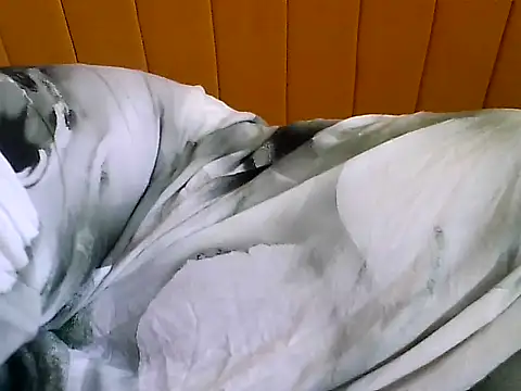 Snapshot of nastygirl- chatting on November 23, 2025, 9:30 am nastygirl- online show from November 23, 2025, 9:30 am