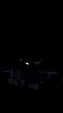 AriellaTaylor online show from December 14, 2025, 12:33 pm