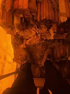 cussy007 online show from December 16, 2025, 1:26 pm