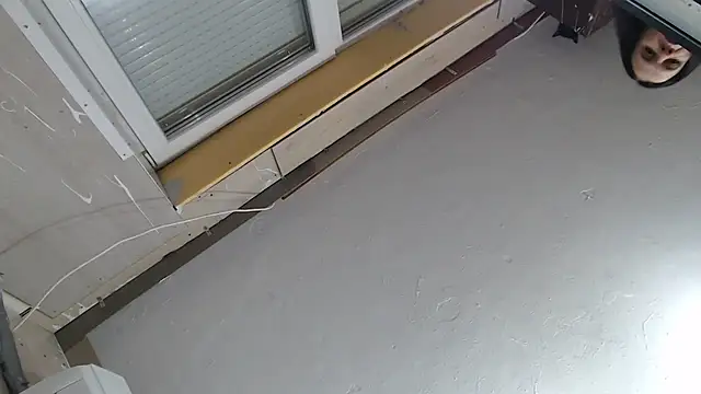 Snapshot of CRISTIINA37 chatting on December 1, 2025, 3:24 pm CRISTIINA37 online show from December 1, 2025, 3:24 pm