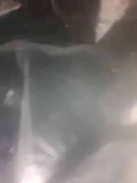 Puffgettingstuffed online show from December 20, 2025, 8:22 pm