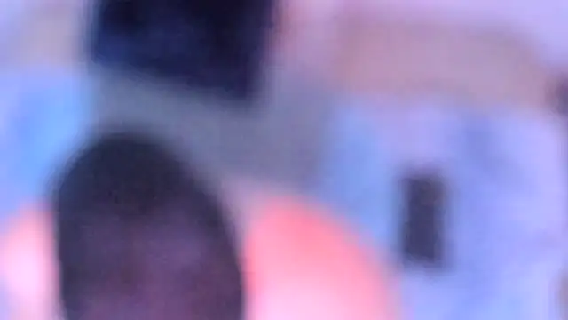 stillwild online show from December 14, 2025, 10:21 am