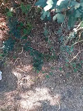 Ajith mvi online show from March 26, 2026, 11:08 am