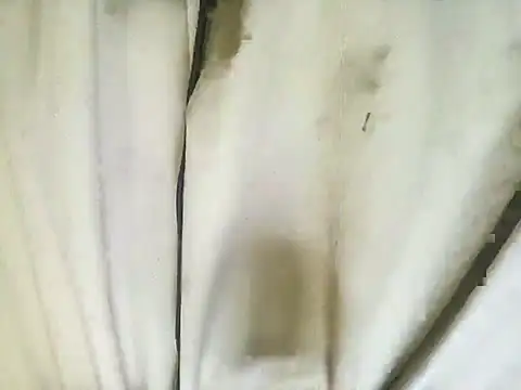 Snapshot of richa22cm chatting on November 12, 2025, 2:21 pm richa22cm online show from November 12, 2025, 2:21 pm