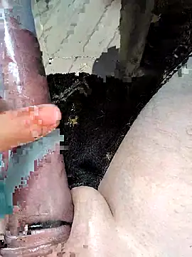 richa22cm online show from March 20, 2026, 1:34 pm