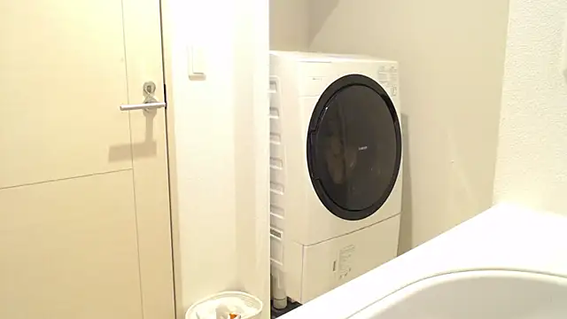 Snapshot of Kakushi_dori chatting on December 16, 2024, 5:00 pm Kakushi dori online show from December 16, 2024, 5:00 pm