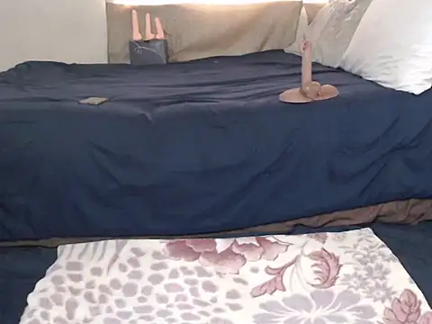 AdelaideT online show from November 11, 2025, 6:41 am