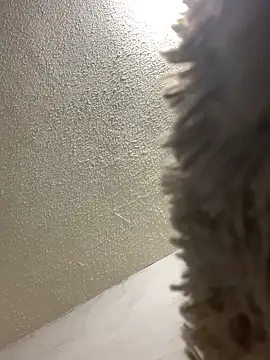 talitasilvx online show from March 18, 2025, 11:09 pm