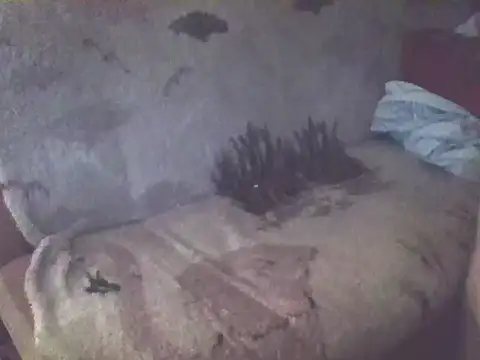 Snapshot of Bigheadxxx1 chatting on December 19, 2025, 6:49 am Bigheadxxx1 online show from December 19, 2025, 6:49 am