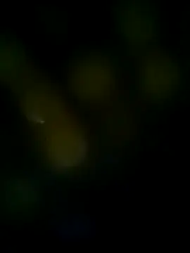 Snapshot of LongDickZee562 chatting on March 8, 2025, 10:11 am LongDickZee562 online show from March 8, 2025, 10:11 am