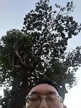 Natanzinhoz online show from December 3, 2025, 8:08 pm