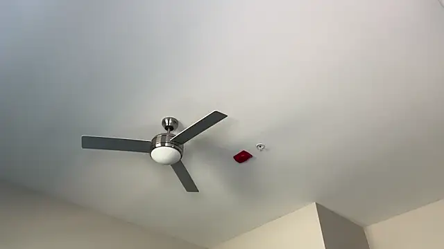 Snapshot of ElenaErickson chatting on March 19, 2025, 8:32 pm ElenaErickson online show from March 19, 2025, 8:32 pm