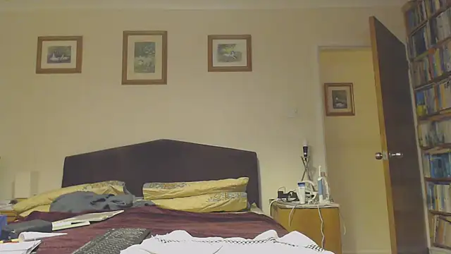 Snapshot of WaverlyKernow chatting on January 29, 2025, 8:25 pm WaverlyKernow online show from January 29, 2025, 8:25 pm