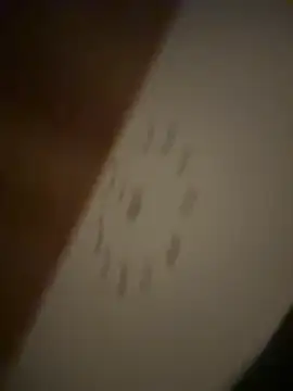 Snapshot of lazoglu0061 chatting on March 9, 2025, 12:53 am lazoglu0061 online show from March 9, 2025, 12:53 am