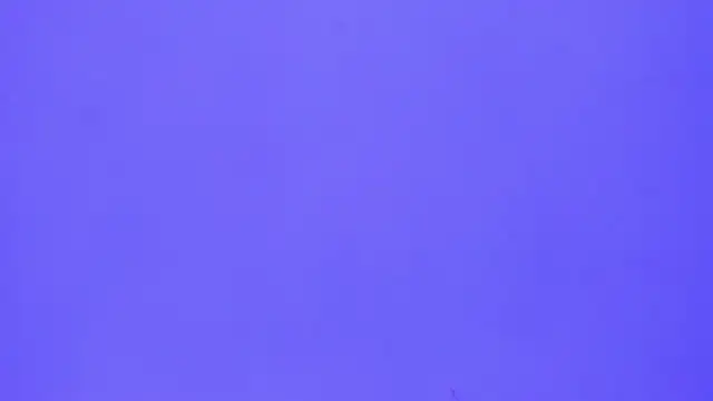 brenda sofia2 online show from November 21, 2025, 3:11 pm