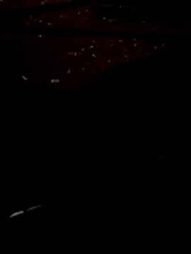 FeloBad online show from July 14, 2026, 3:11 am