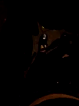 Snapshot of FeloBad chatting on May 26, 2026, 3:37 am FeloBad online show from May 26, 2026, 3:37 am