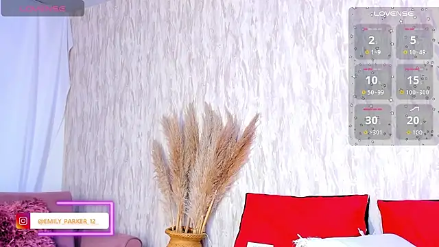 Snapshot of emily_parkerr chatting on February 16, 2025, 6:32 pm emily parkerr online show from February 16, 2025, 6:32 pm