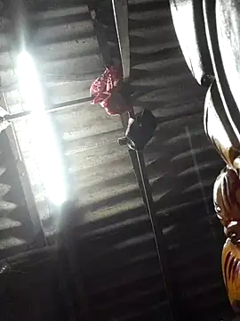 HotSexyBoudi online show from November 12, 2025, 8:40 am