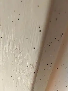 Camila erotica online show from April 4, 2026, 2:45 pm