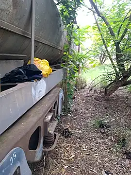 Snapshot of Petrossa chatting on November 12, 2025, 9:02 am Petrossa online show from November 12, 2025, 9:02 am