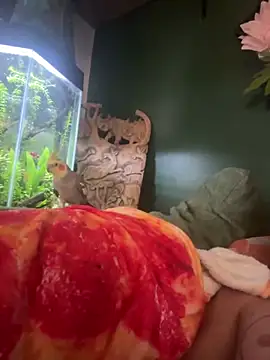 trash4cash online show from March 7, 2025, 2:34 pm