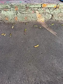 Nathan mason  online show from March 10, 2025, 9:40 pm