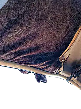 Snapshot of FloppyPickle4u chatting on January 19, 2026, 4:11 pm FloppyPickle4u online show from January 19, 2026, 4:11 pm