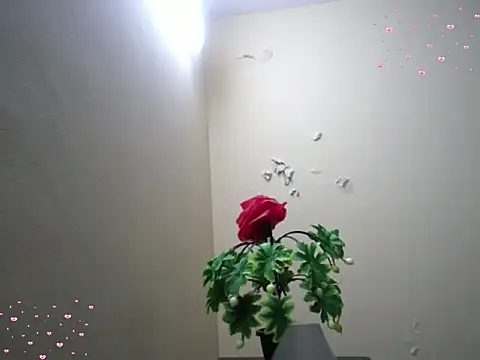 Arushisingh8888 online show from December 18, 2025, 11:36 am