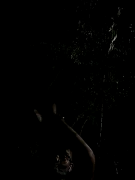 mumuowl online show from September 20, 2025, 5:29 pm