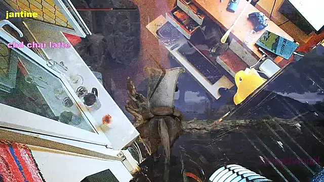 Snapshot of BongChannel chatting on March 9, 2025, 3:54 am BongChannel online show from March 9, 2025, 3:54 am