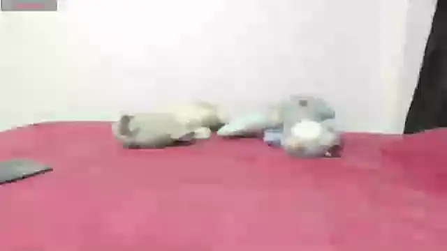 Mayte sexy online show from February 21, 2025, 12:16 am