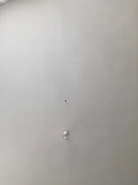 Snapshot of MuscleBoyy777 chatting on March 20, 2025, 11:05 am MuscleBoyy777 online show from March 20, 2025, 11:05 am