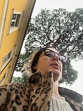 casalinga88 online show from October 21, 2025, 11:09 am