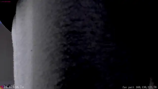 Snapshot of alicelu_ chatting on February 8, 2025, 11:55 am alicelu online show from February 8, 2025, 11:55 am