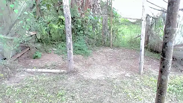 tayiro r online show from October 24, 2025, 5:12 pm