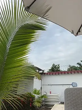 Snapshot of Ema_azel chatting on February 16, 2025, 2:00 pm Ema azel online show from February 16, 2025, 2:00 pm