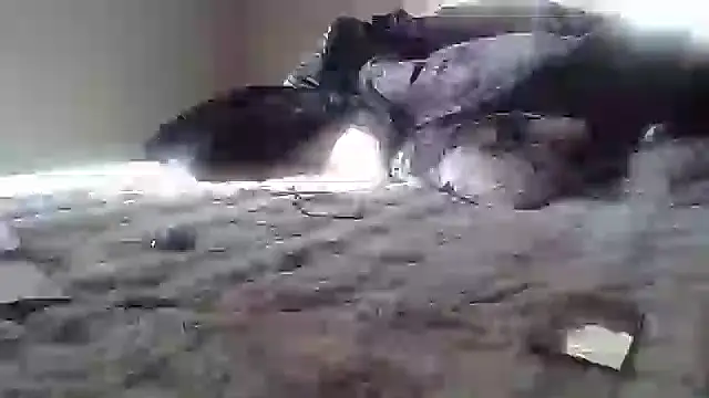 Snapshot of cassieleeknight11 chatting on January 17, 2025, 2:39 pm cassieleeknight11 online show from January 17, 2025, 2:39 pm