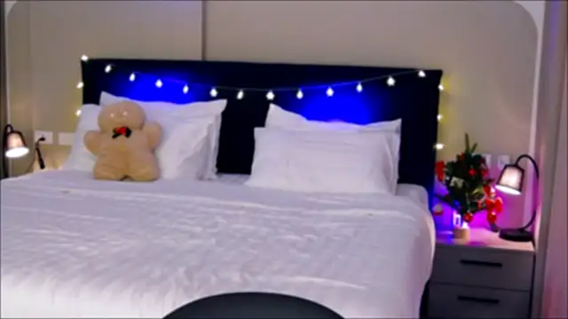 wow Mia online show from December 20, 2024, 5:47 am