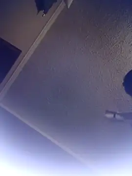 Snapshot of Buddy_Cuck chatting on November 6, 2025, 2:48 am Buddy Cuck online show from November 6, 2025, 2:48 am