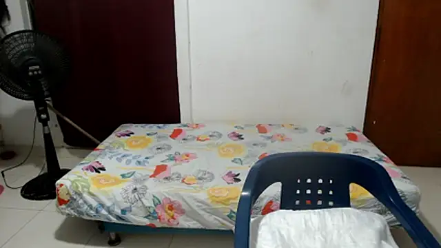 Snapshot of luz_stella chatting on May 16, 2026, 4:11 am luz stella online show from May 16, 2026, 4:11 am