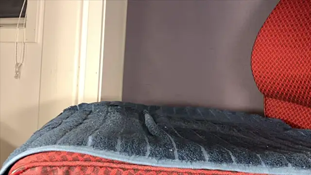 Snapshot of brsrkr chatting on December 5, 2025, 8:39 pm brsrkr online show from December 5, 2025, 8:39 pm