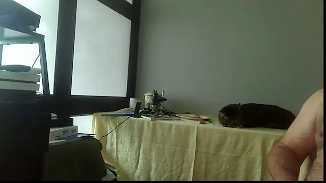 Snapshot of SexWorkerX chatting on November 15, 2025, 4:22 pm SexWorkerX online show from November 15, 2025, 4:22 pm