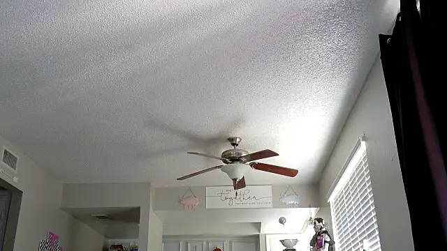 Snapshot of honeeyyy_pot chatting on October 9, 2025, 6:41 pm honeeyyy pot online show from October 9, 2025, 6:41 pm