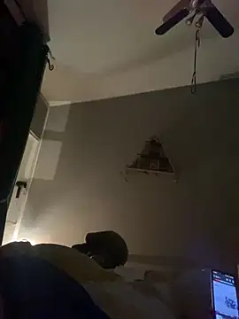 Snapshot of WreckedCrop chatting on January 6, 2025, 1:31 am WreckedCrop online show from January 6, 2025, 1:31 am