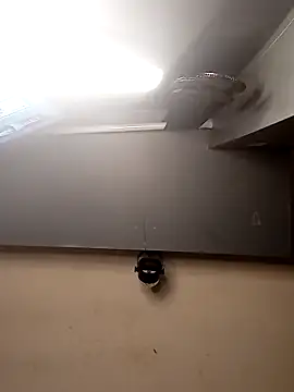 Snapshot of AmazonianMistress chatting on December 1, 2025, 2:40 pm AmazonianMistress online show from December 1, 2025, 2:40 pm