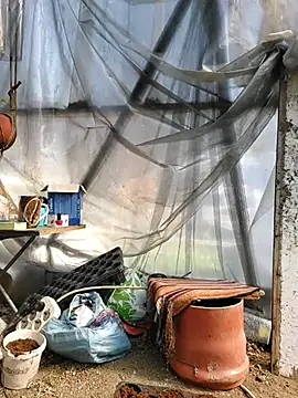 Snapshot of EmmaSquirt chatting on March 20, 2025, 11:38 am EmmaSquirt online show from March 20, 2025, 11:38 am