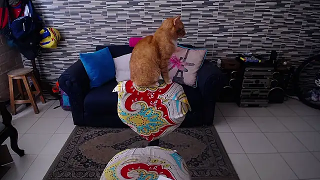 VioletaGomezCo online show from March 20, 2026, 3:02 pm