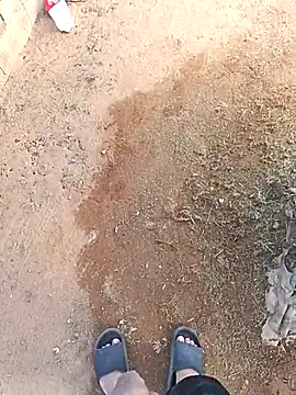 Snapshot of DickMasterfindom chatting on December 21, 2025, 12:29 pm DickMasterfindom online show from December 21, 2025, 12:29 pm