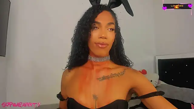 turabbitxx online show from October 31, 2025, 4:53 am